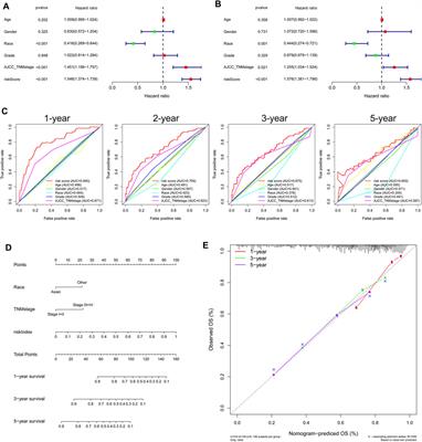 Non-Apoptotic Programmed Cell Death-Related Gene Signature Correlates With Stemness and Immune Status and Predicts the Responsiveness of Transarterial Chemoembolization in Hepatocellular Carcinoma